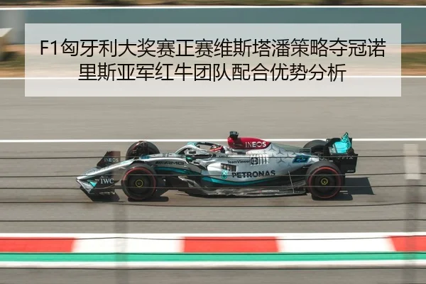 xiong-ya-li-da-jiang-sai-zheng-sai-wei-si-ta-pan-ce-lve-duo-guan-nuo-li-si-ya-jun-hong-niu-tuan-dui-pei-he-you-shi-fen-3-498.jpg